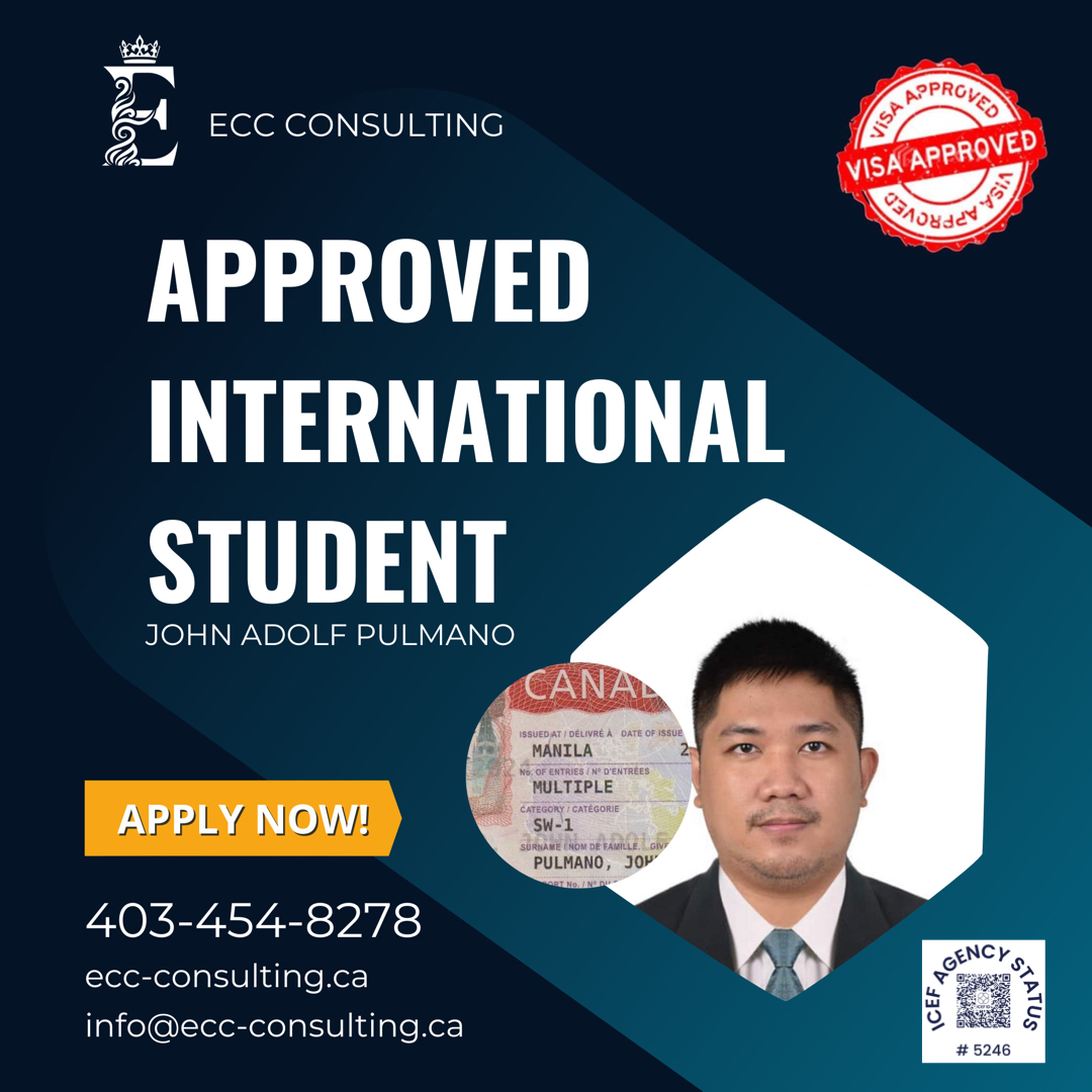 ECC visual